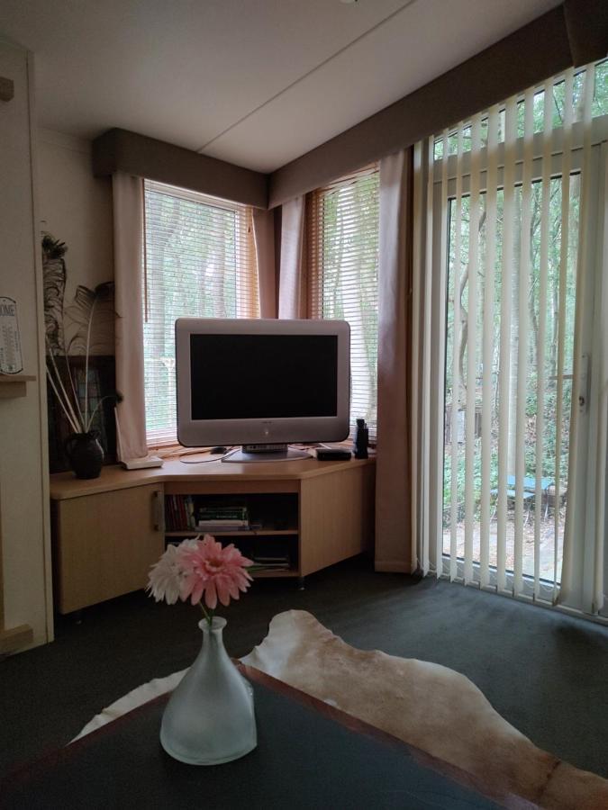 Chalet Met Veranda Aan Bosrand Vledder 외부 사진
