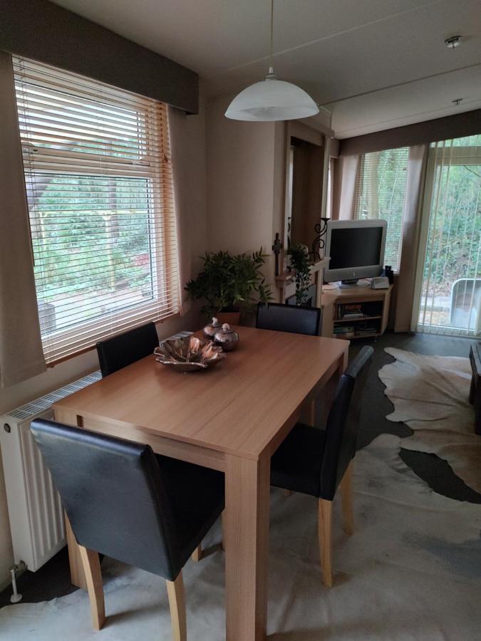 Chalet Met Veranda Aan Bosrand Vledder 외부 사진