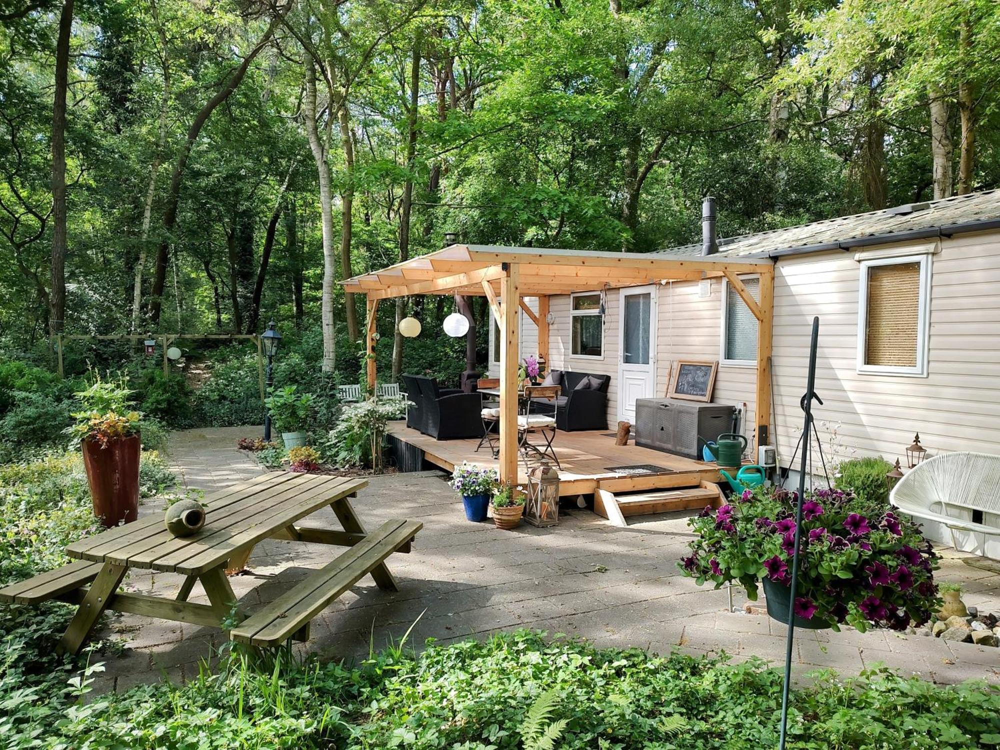 Chalet Met Veranda Aan Bosrand Vledder 외부 사진
