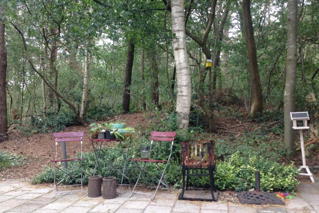 Chalet Met Veranda Aan Bosrand Vledder 외부 사진