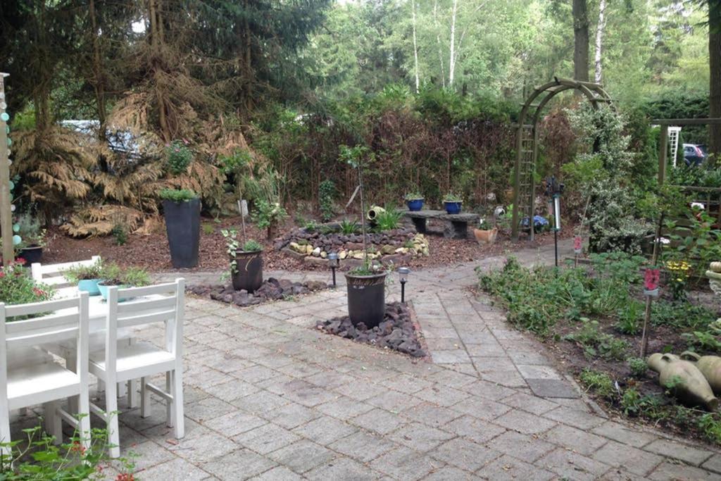 Chalet Met Veranda Aan Bosrand Vledder 외부 사진
